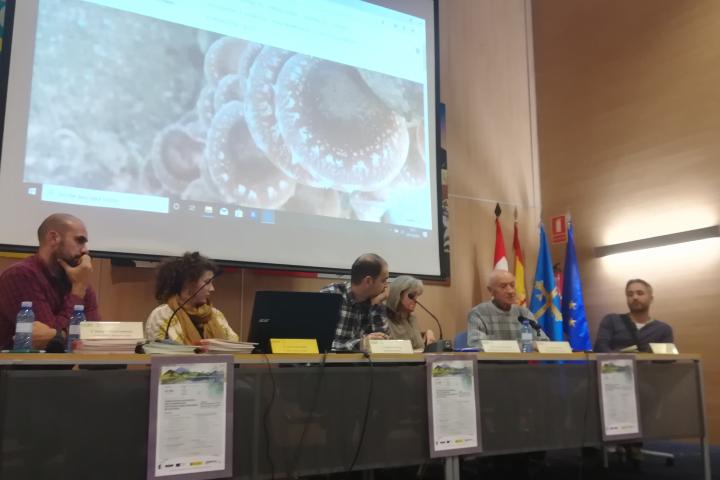 La agricultura ecológica, un mercado en crecimiento lejos aún de alcanzar la madurez La agricultura ecológica, un mercado en crecimiento lejos aún de alcanzar la madurez