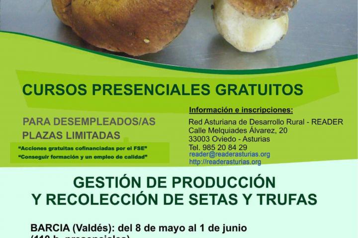 READER Crea se inicia con un curso gratuito sobre Gestión y producción de setas y trufas en Barcia (Valdés) READER Crea se inicia con un curso gratuito sobre Gestión y producción de setas y trufas en Barcia (Valdés)
