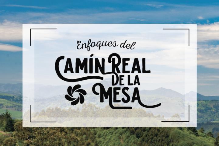 PORTADA LIBRO